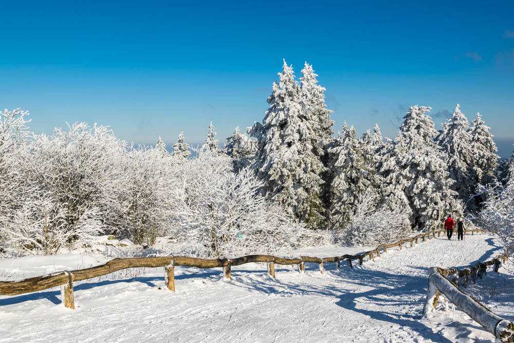Winter im Taunus - Fototour auf dem Großen Feldberg