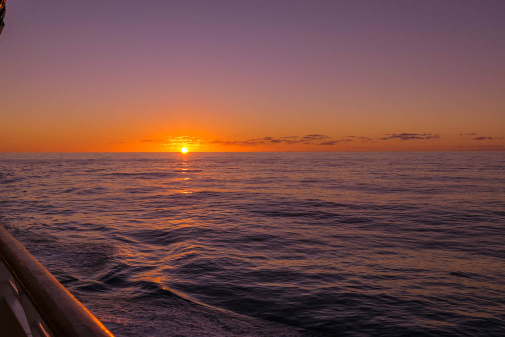 Sonnenuntergang auf der Rhapsody of the Seas