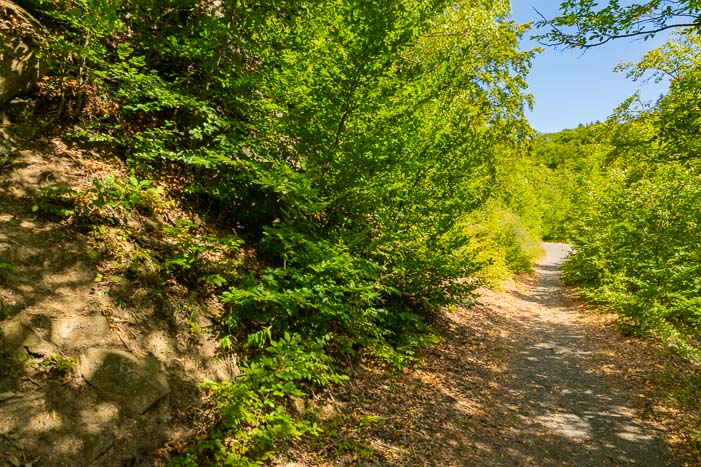 Leichte Wanderung in Hessen - Hagenstein-Route am Edersee