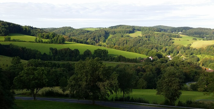 Wald Michelbach