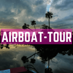 Airboat Tour in Florida