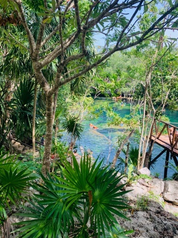 Cenote Jardin de Eden