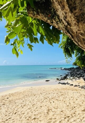 La Cuvette Public Beach Mauritius
