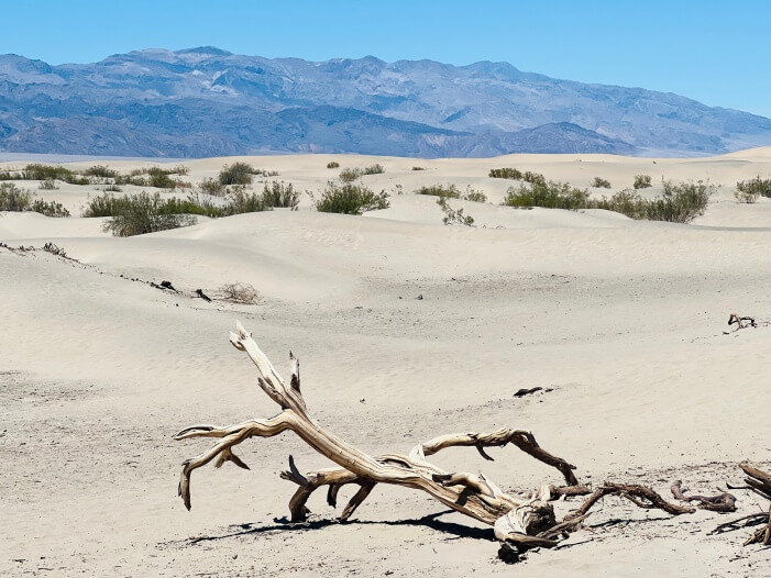 Sanddünen im Death Valley Nationalpark auf unserer Yellowstone Route 3 Wochen