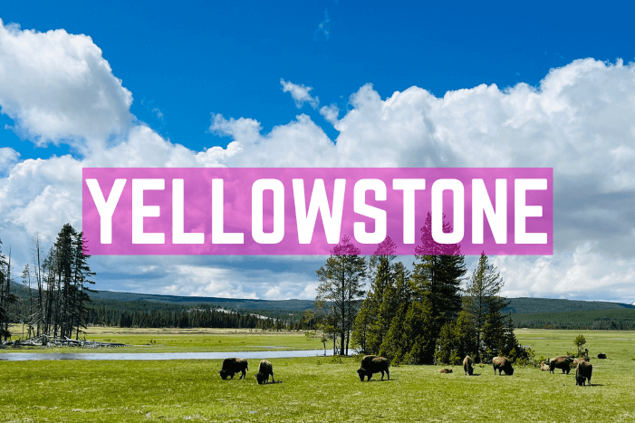 Yellowstone Route 3 Wochen inklusive Stationen, Unterkünfte und Highlights