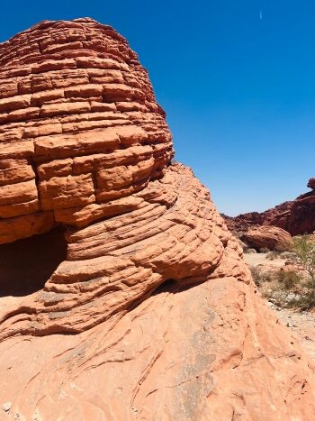 Beehives im Valley of Fire State Park