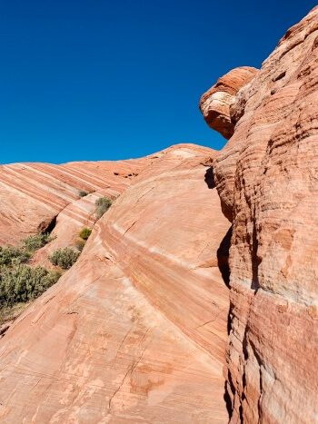 Rote Felsen im Valley of Fire