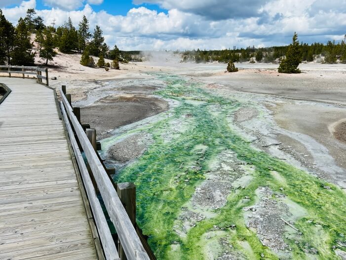 Yellowstone Nationalpark Pools und heiße Quellen