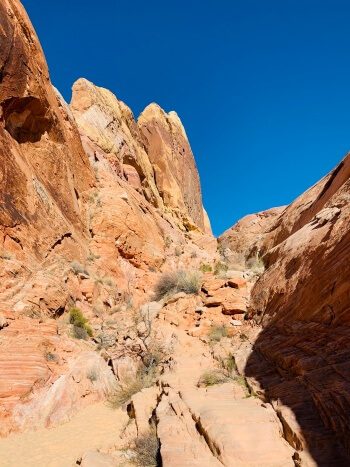 Valley of Fire im Dezember Wanderung White Domes Loop