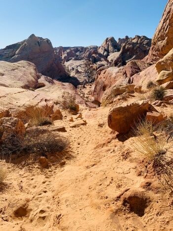 White Domes Loop Hike im Valley of Fire State Park